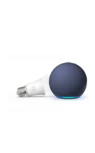 Pack Echo Dot + Bombilla LED Philips Hue White E27