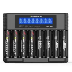 Delyeepow 1,5V AA Lithium-Akkus mit LCD-Ladegerät