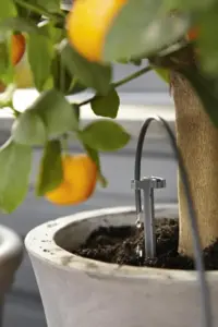 Gardena city gardening Urlaubsbewässerung für 36 Pflanzen