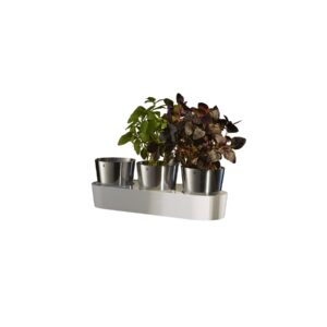 WMF Kräutergarten Gourmet 3-teilig
