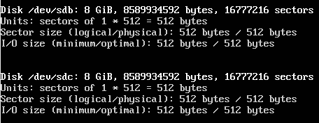 Ausgabe von fdisk mit den beiden Laufwerken fuer den ZFS Pool