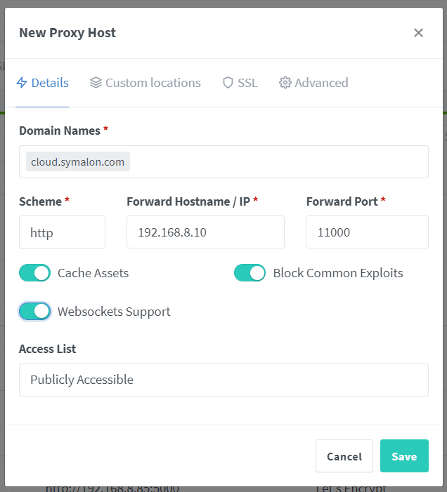 Nginx Proxy Manager Details-Tab mit Domain, Scheme http, Server-IP und Port 11000 fuer Nextcloud AIO