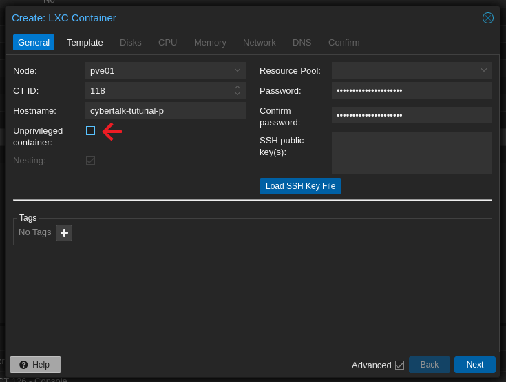 Privilegierten LXC-Container in Proxmox erstellen