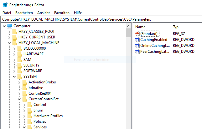Registrierungseditor mit dem Schlüssel CSC\Parameters für den Offlinedateien-Speicherpfad